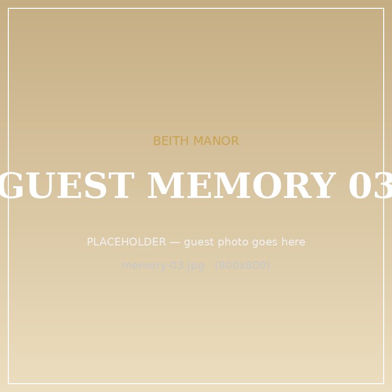 Guest memory