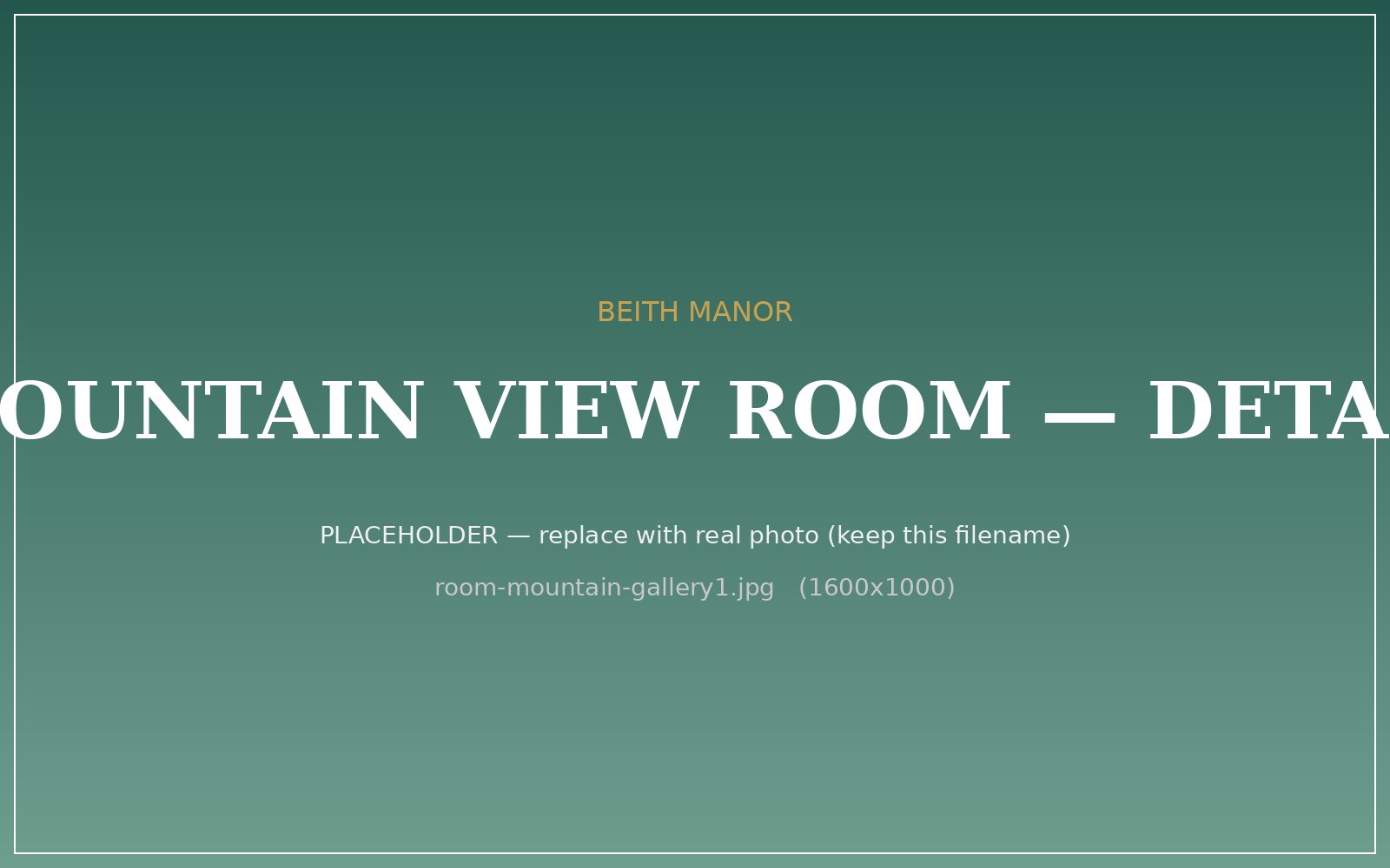 Mountain View Room detail