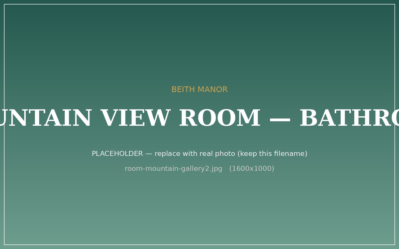 Mountain View Room bathroom