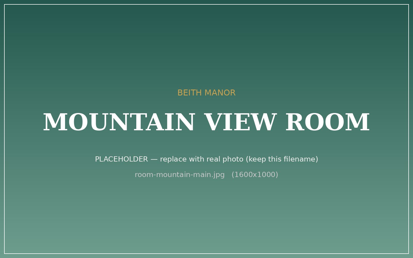 Mountain View Room